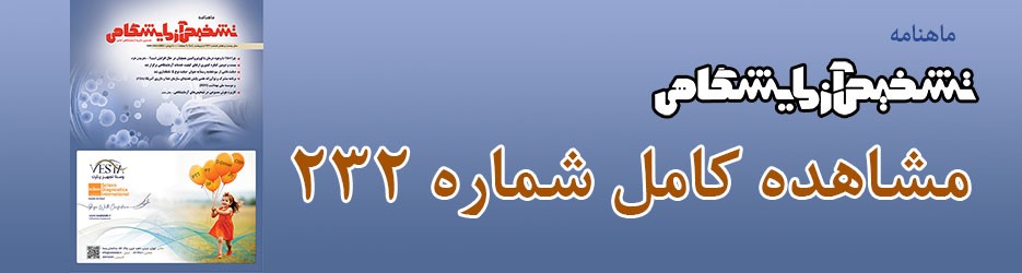 شماره 232