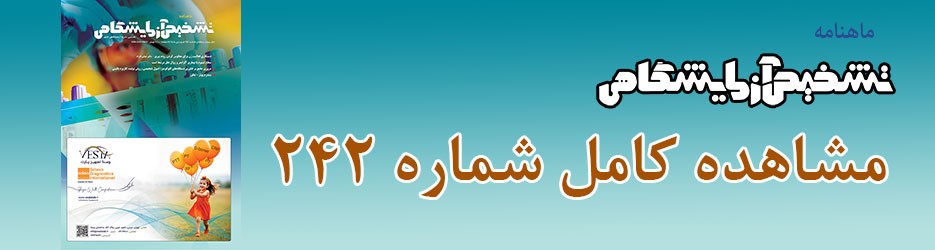 شماره 242