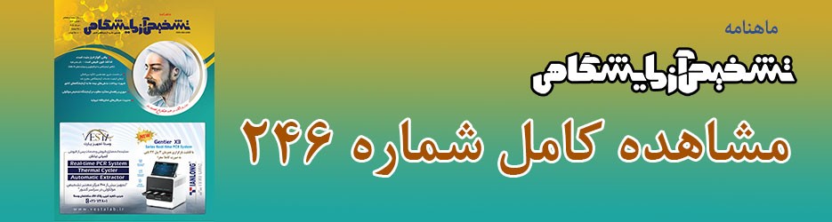 شماره 246