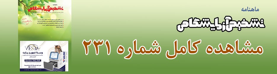 شماره 231