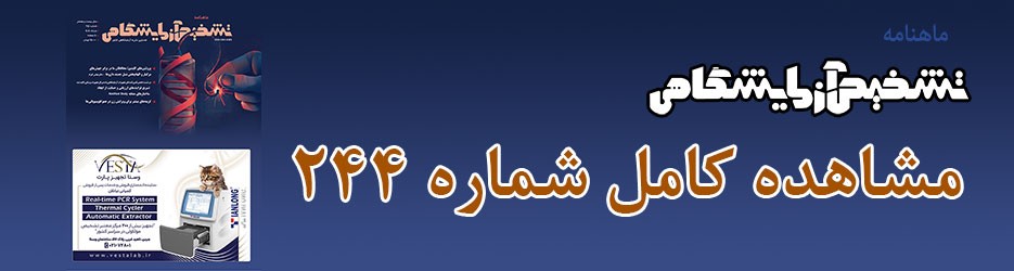 شماره 244